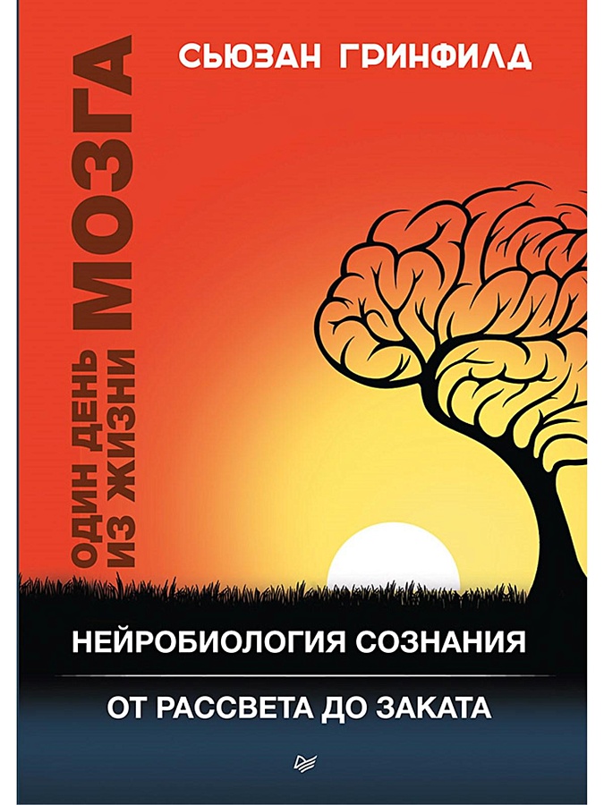 Один день из жизни мозга. Нейробиология сознания от