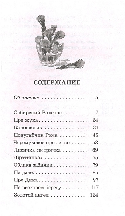 План по рассказу валенки абрамов