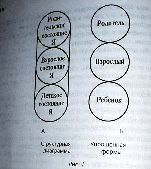 Книга люди играющие в игры. Игры, в которые играют люди. Игры по Берну. Психологические игры по Берну. Взрослый по Берну.