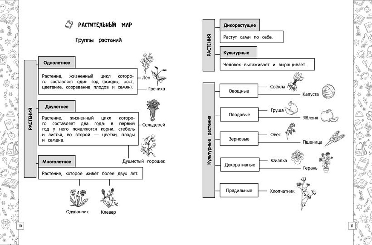 6 класс в таблицах и схемах. Окружающий мир в схемах и таблицах. Схемы таблицы рисунки