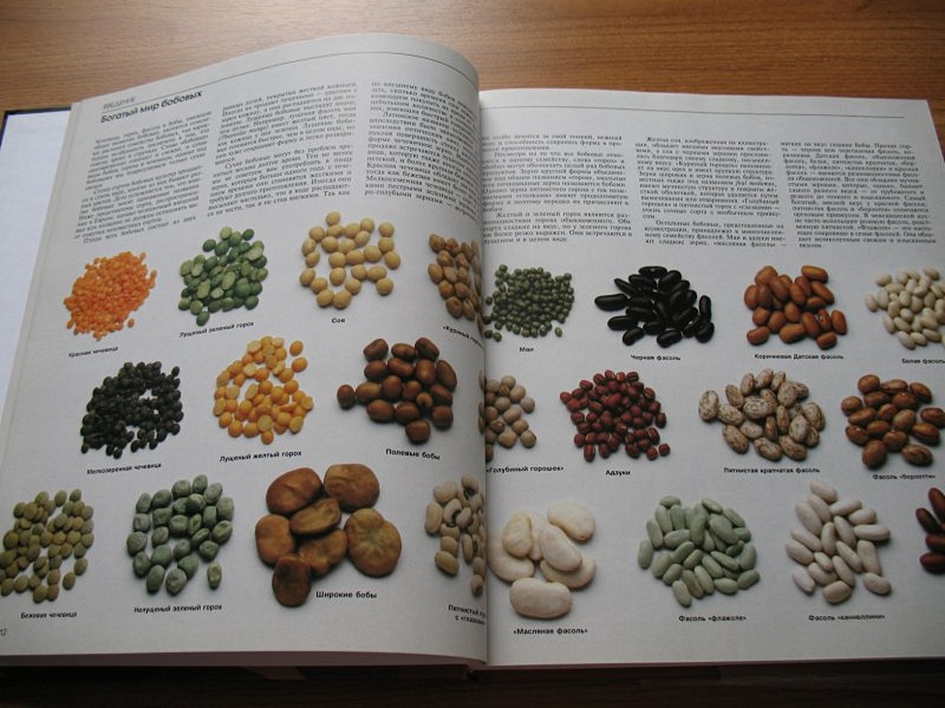 бобовые книга. макаронные изделия и бобовые изделия книга. соя книга. Zerno boboviy. русские народные сказки бобовое зернышко.