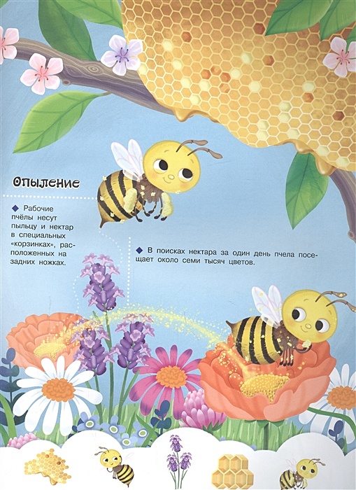 Пчела и бабочка текст. Пчелки бабочки. Пчелка и бабочка электронная книга. Пчела и бабочка книга игр. Предложение пчелы и бабочки.