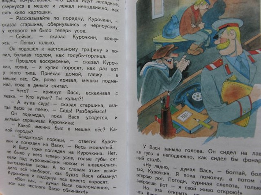 Вася куролесов читать книгу приключения васи. Приключения Васи Куролесова. Приключения Васи Куролесова иллюстрации Чижикова. Приключения Васи Куролесова диск.