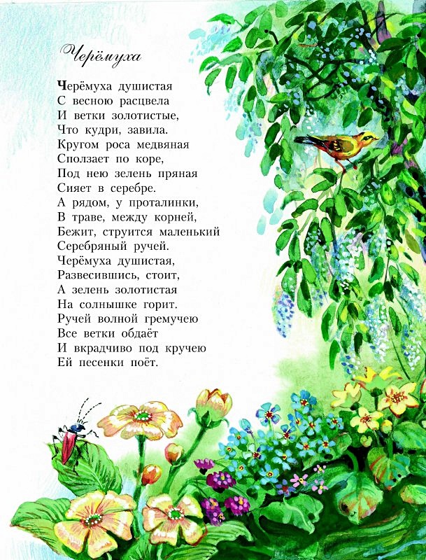 Стихи про природу с рисунками - 92 фото