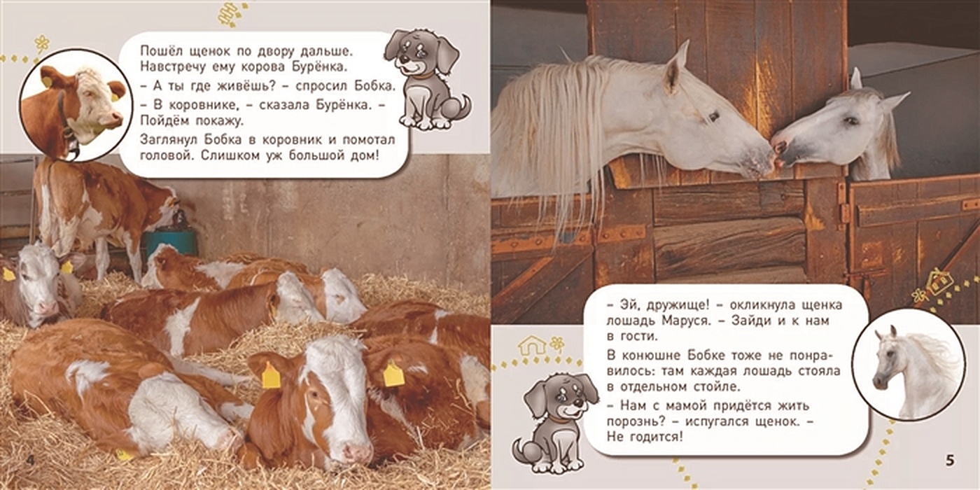 Где живет имя. Наставник э. "кто где живет?". Где живут книги. Книга кто живет в лесу с окошками