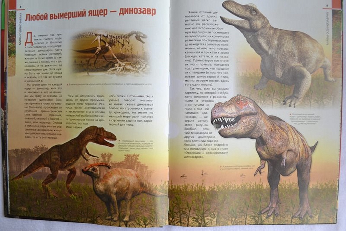 Доисторические животные: иллюстрированный. Путеводитель. Коричневая книга о динозаврах иллюстрированная. Анализ о динозаврах. Азбука динозавров от а до я. Вымерший ящер
