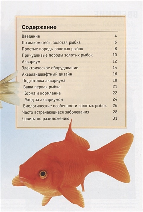 Содержание золотой. Содержание рыбок. Характер золотой рыбки. Золотая рыбка книжка. Рыба оглавления.