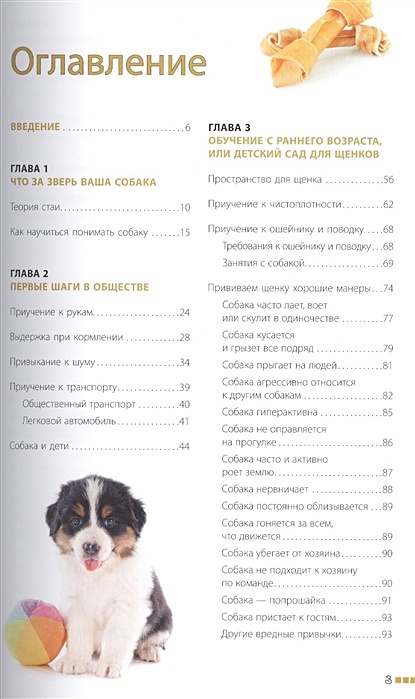 Разнообразие пород собак. Шкляев дрессировка и воспитание собаки. График кормления и прогулок с собакой. Правила ухода за собакой. Самые опасные собаки для человека.