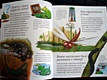 Новая детская энциклопедия - фото 6