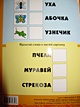 Насекомые. Раскраска с наклейками. - фото 13