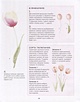 Книга Botanical painting. Вдохновляющий курс рисования акварелью ...