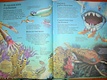 Детская энциклопедия динозавров - фото 4