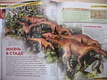 Доисторический мир. Опасные ящеры - фото 7