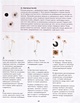 Книга Botanical painting. Вдохновляющий курс рисования акварелью ...