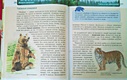 Живая природа. Детская энциклопедия - фото 12