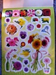 100 наклеек. Цветочки - фото 4