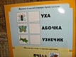 Насекомые. Раскраска с наклейками. - фото 7