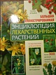 Большая иллюстрированная энциклопедия лекарственных растений: Более 300 растений средней полосы России - фото 6