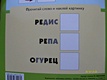 Раскраска с наклейками. Овощи. - фото 8