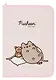 Папка для тетрадей А4 "Pusheen" 32,5*23*2,5, розовая, пластик, молния с трех сторон - фото 1