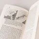 С нами или без нас: Естественная история будущего - фото 11