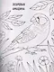 Птички: книжка-раскраска - фото 2