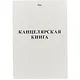 Книга учёта, клетка, 48 листов, А4 - фото 1