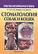 Стоматология собак и кошек (3 изд) (мПВВ) - фото 1