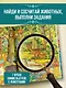 Животные - фото 4