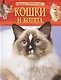 Кошки и котята. Детская энциклопедия - фото 1