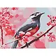 Холст с красками по номерам Птица на цветущей ветке (HS215) (22х30см) (14цв) (Рыжий Кот) (3+) (коробка) - фото 1