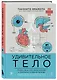 Удивительное тело. Почему наше тело самое нелепое и гениальное создание природы - фото 3