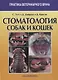 Стоматология собак и кошек - фото 1