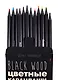 Карандаши цветные Bruno Visconti, BlackwoodColor, 12 цветов, в ассортименте - фото 4