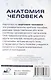 Анатомия человека. 80 карточек. Все системы - фото 5