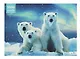 Пазл 1000 элементов "Мишки на севере" 48х67 см - фото 3