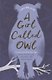 A Girl Called Owl - фото 1