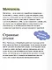 Белые ночи. Вечные истории - фото 7