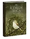 Птицы леса. Артбук - фото 3