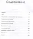 Анархия. Неумолимое возвышение Ост-Индской компании - фото 3