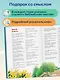 Иллюстрированная Библия для юных читателей (с грифом РПЦ) - фото 7
