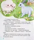 Маленький барашек учится послушанию - фото 3