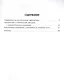 Упражнения, диктанты, контрольное списывание по русскому языку. 1-4 классы - фото 2