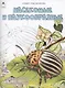 Насекомые и паукообразные - фото 1