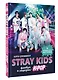 Stray Kids. Фанбук о лидерах K-pop - фото 3