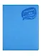 Дневник школьный Феникс+, "Голубой" - фото 1