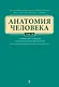 Анатомия человека: учебник: В 3 т. Т. 3 - фото 1