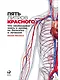 Пять литров красного: Что необходимо знать о крови, ее болезнях и лечении - фото 1