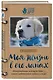 Моя жизнь в его лапах. Удивительная история Теда – самой заботливой собаки в мире - фото 3