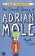 Secret Duary of Adrian Mole,The, Townsend, Sue - фото 1